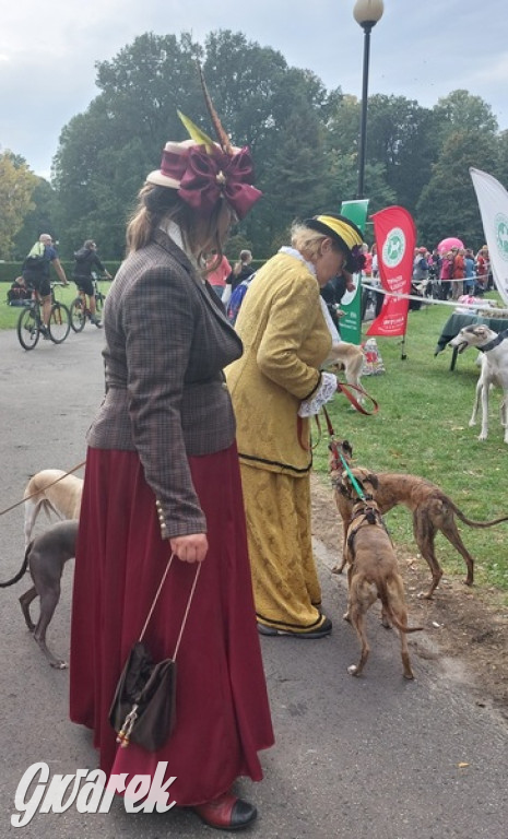 Jubileuszowy hubertus w Świerklańcu