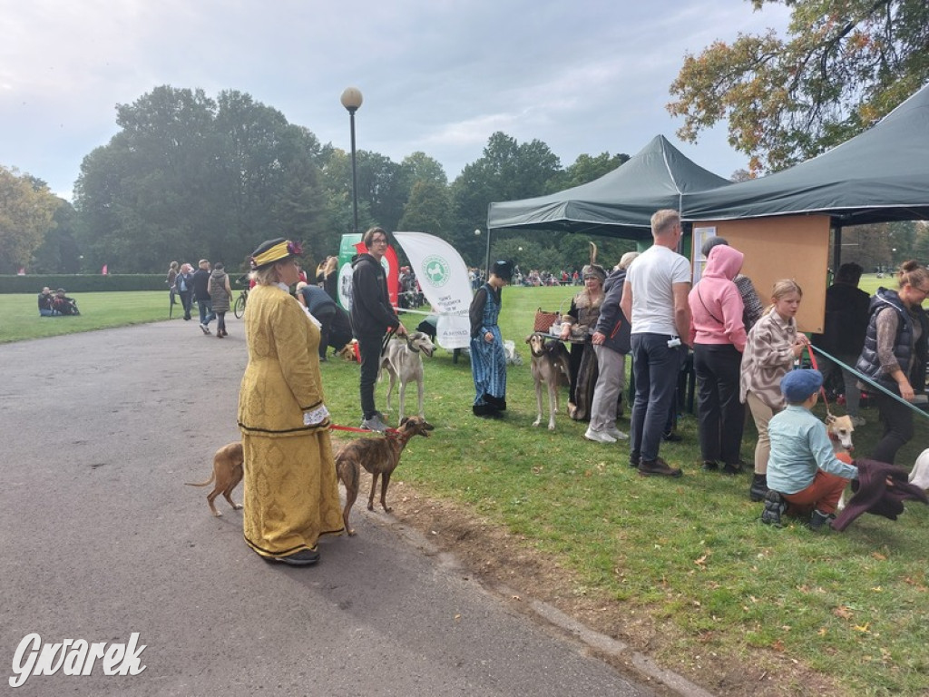 Jubileuszowy hubertus w Świerklańcu