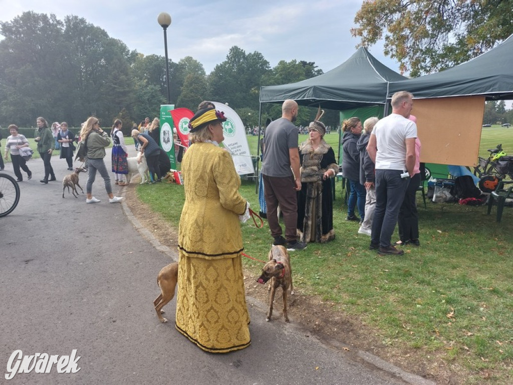 Jubileuszowy hubertus w Świerklańcu
