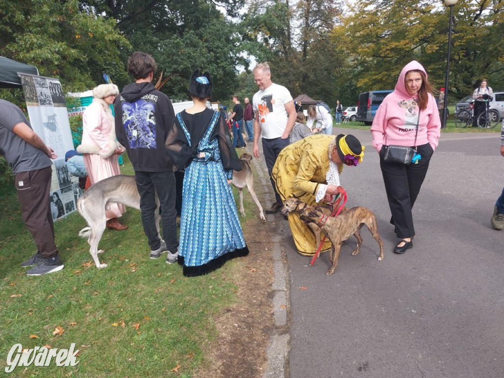 Jubileuszowy hubertus w Świerklańcu
