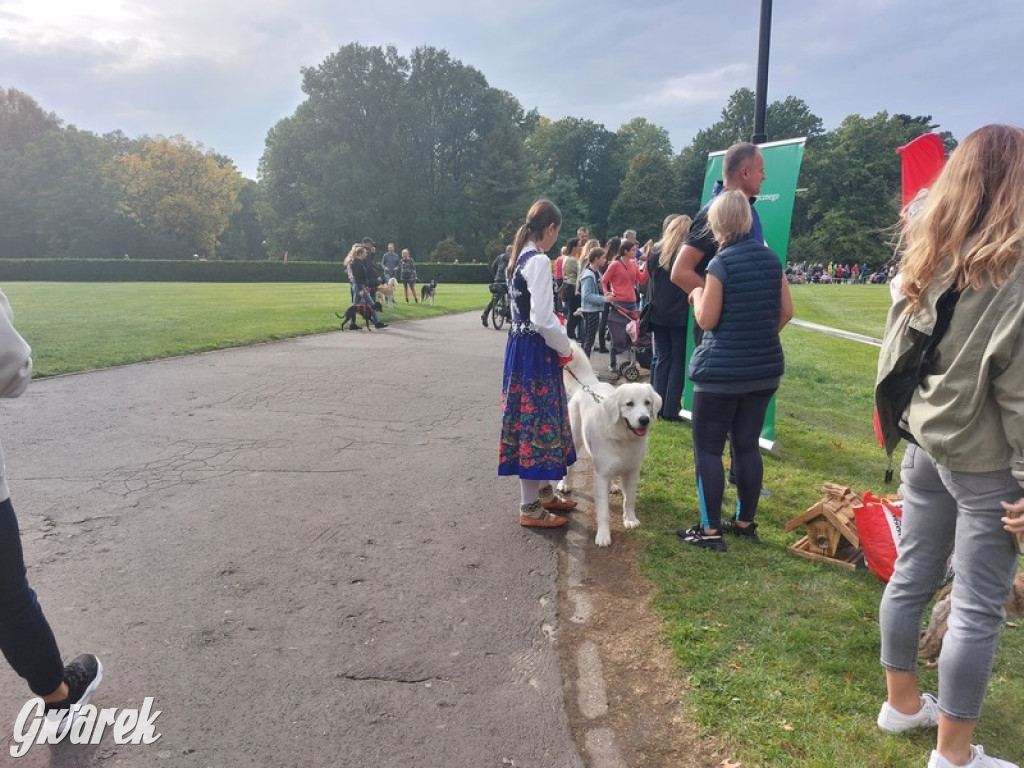 Jubileuszowy hubertus w Świerklańcu