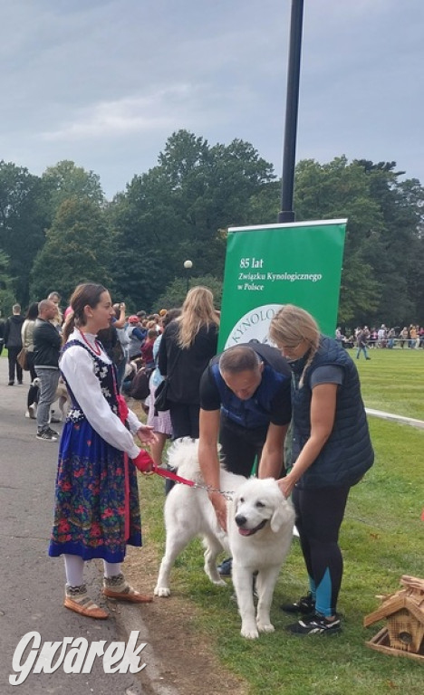 Jubileuszowy hubertus w Świerklańcu