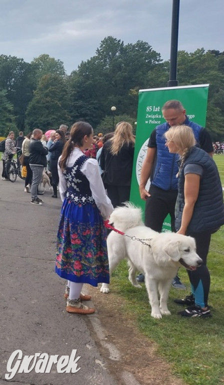 Jubileuszowy hubertus w Świerklańcu