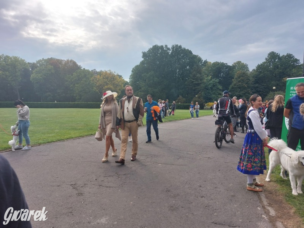 Jubileuszowy hubertus w Świerklańcu