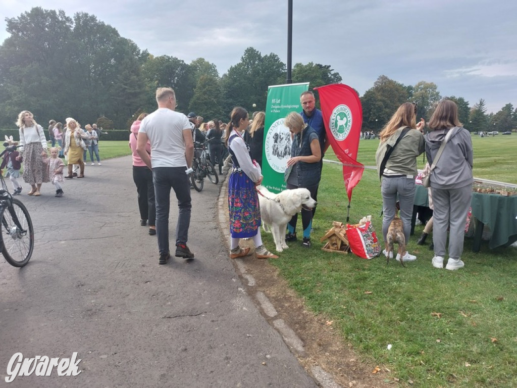 Jubileuszowy hubertus w Świerklańcu