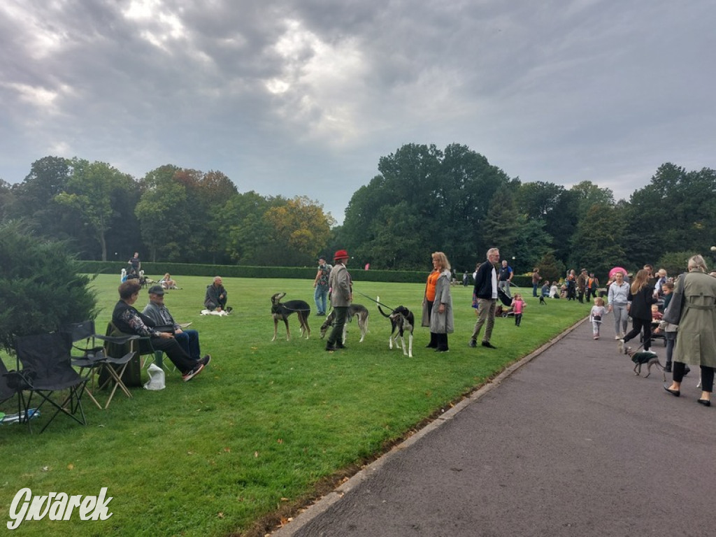 Jubileuszowy hubertus w Świerklańcu