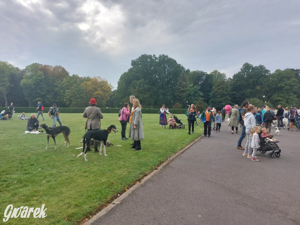Jubileuszowy hubertus w Świerklańcu