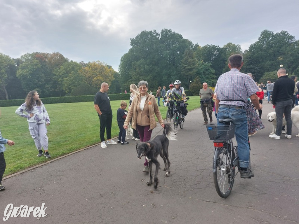 Jubileuszowy hubertus w Świerklańcu