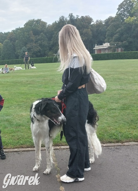 Jubileuszowy hubertus w Świerklańcu