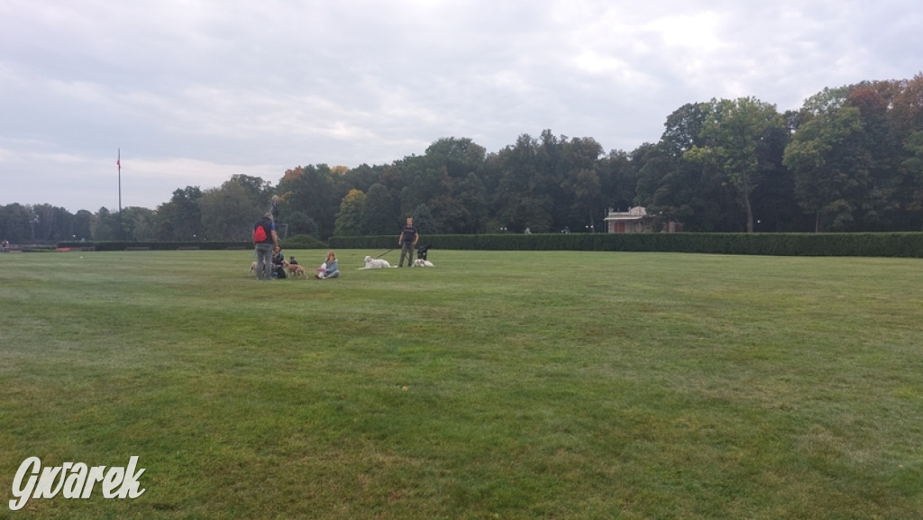 Jubileuszowy hubertus w Świerklańcu