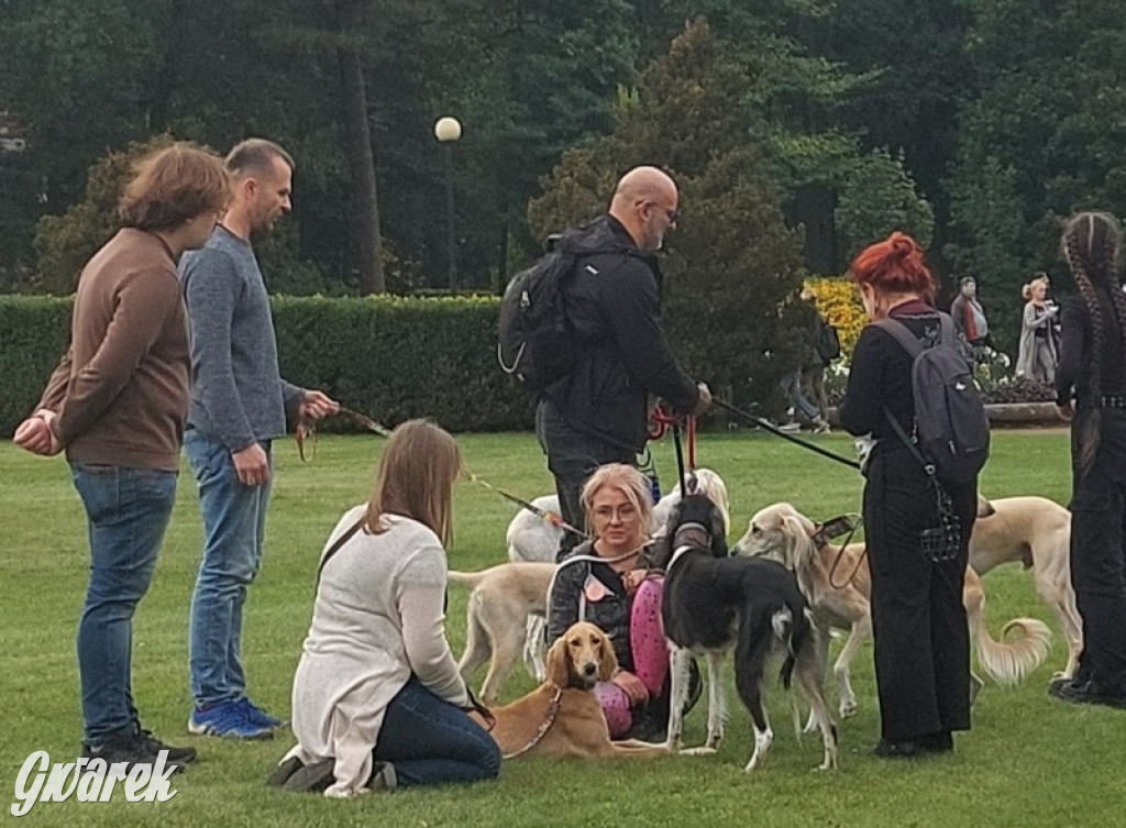 Jubileuszowy hubertus w Świerklańcu