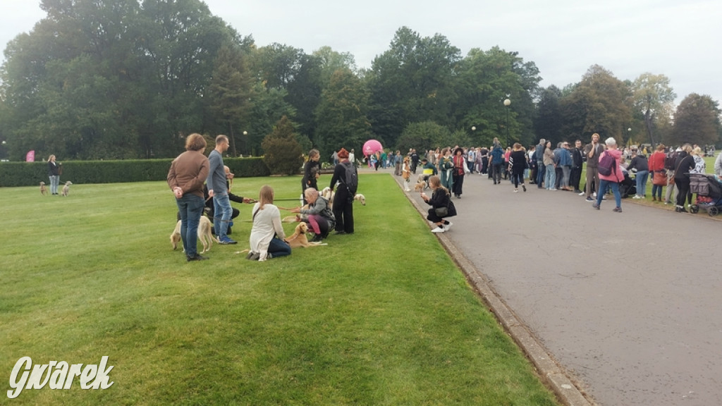 Jubileuszowy hubertus w Świerklańcu