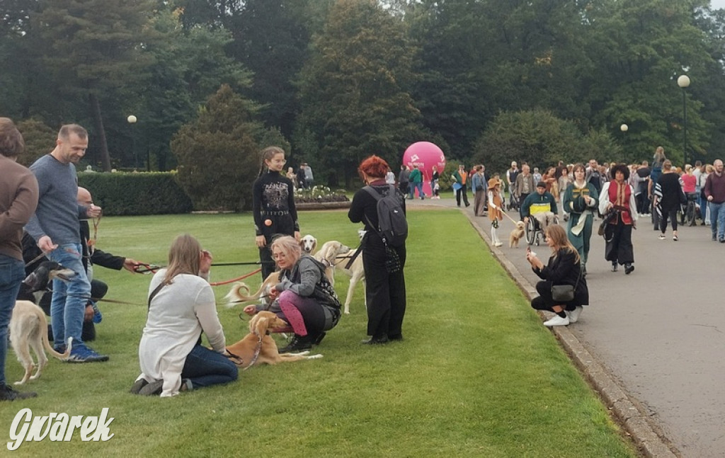 Jubileuszowy hubertus w Świerklańcu