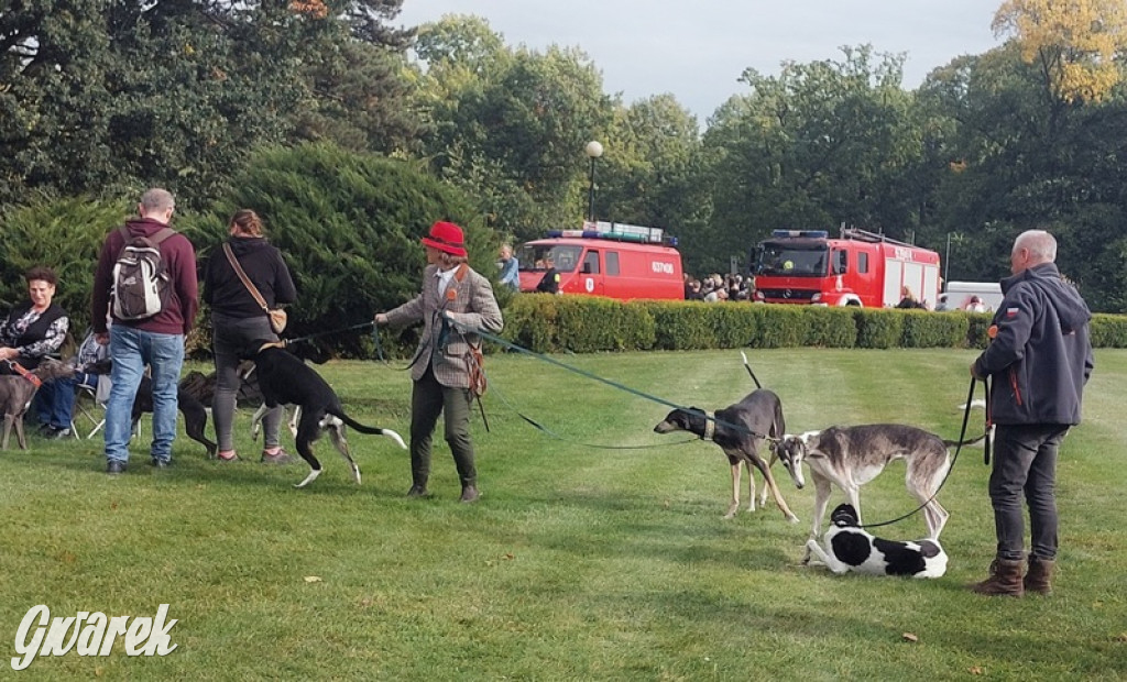 Jubileuszowy hubertus w Świerklańcu