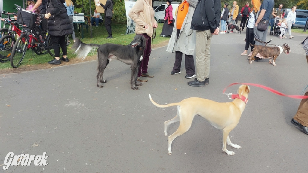 Jubileuszowy hubertus w Świerklańcu