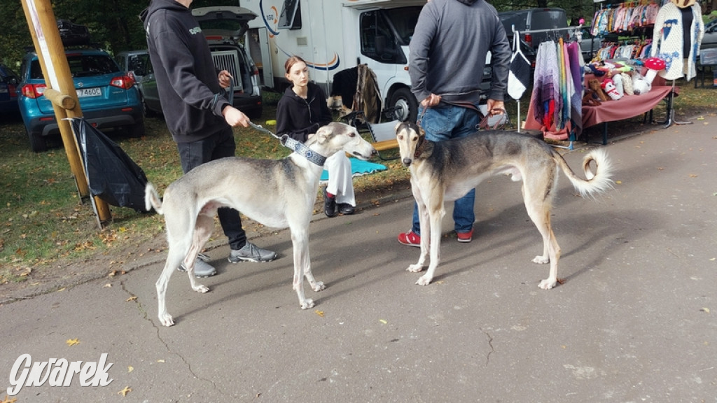 Jubileuszowy hubertus w Świerklańcu