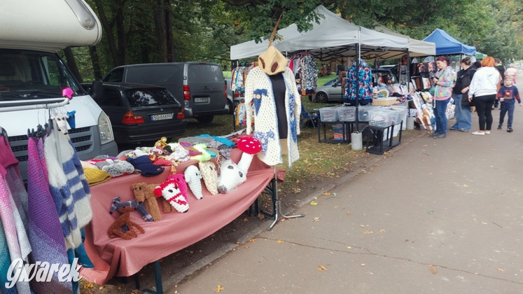 Jubileuszowy hubertus w Świerklańcu