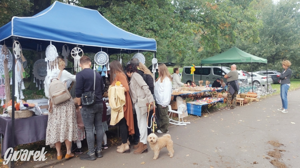 Jubileuszowy hubertus w Świerklańcu