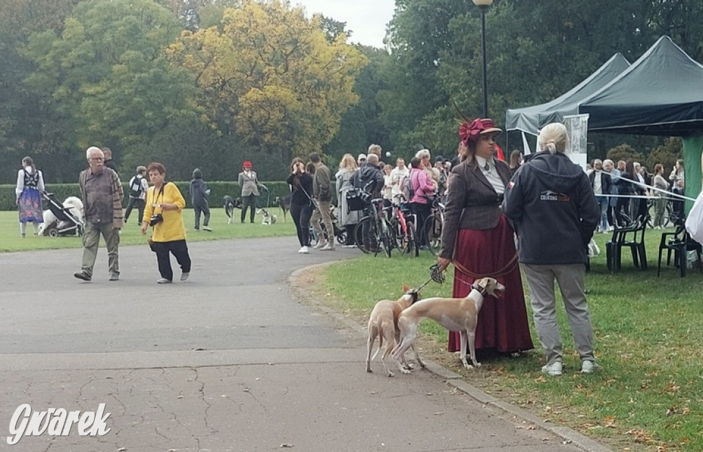 Jubileuszowy hubertus w Świerklańcu