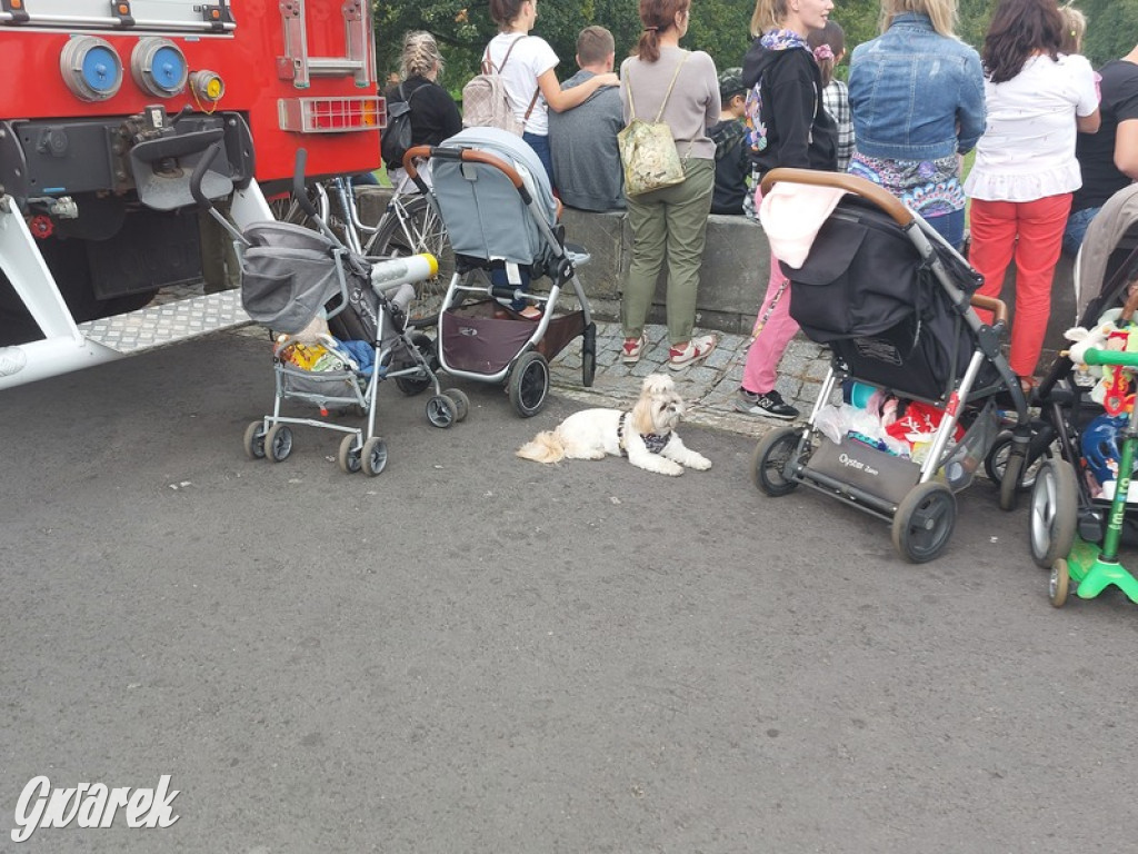 Jubileuszowy hubertus w Świerklańcu