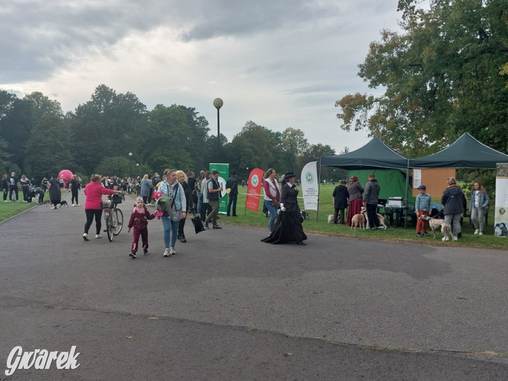 Jubileuszowy hubertus w Świerklańcu