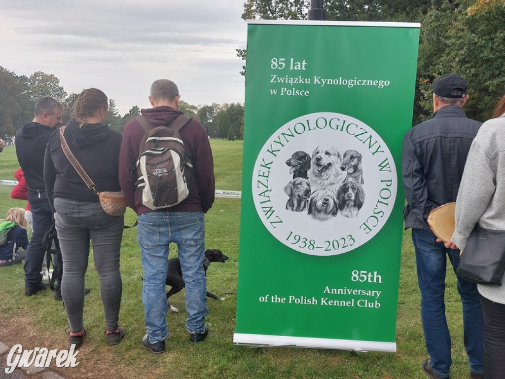 Jubileuszowy hubertus w Świerklańcu