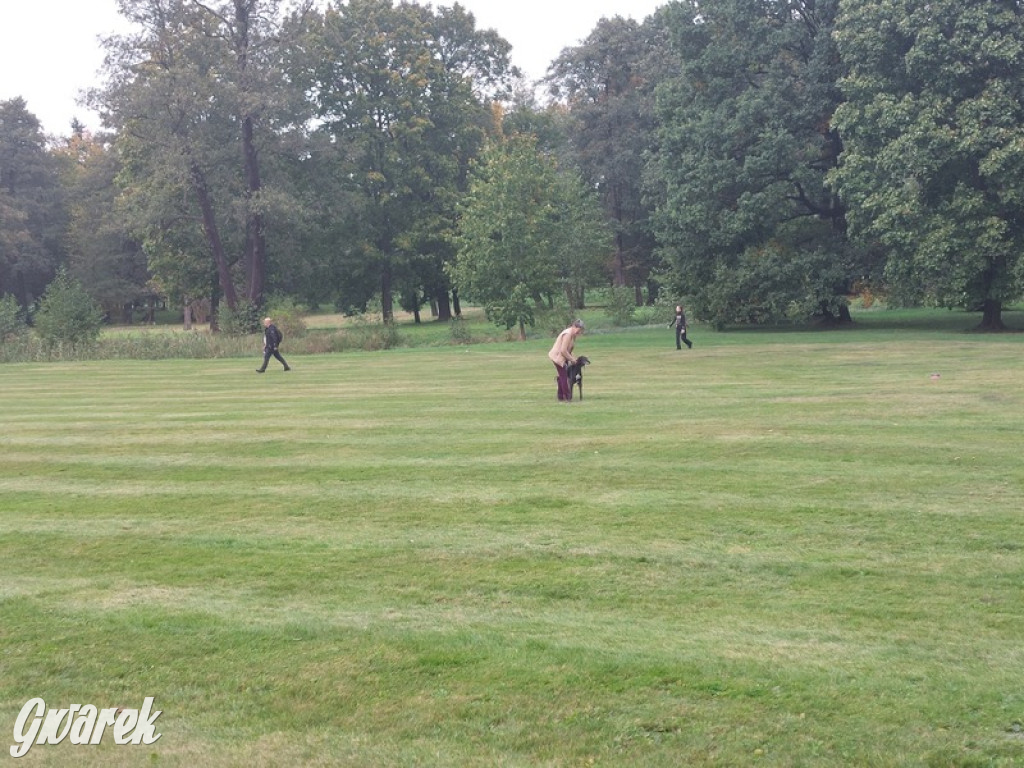 Jubileuszowy hubertus w Świerklańcu