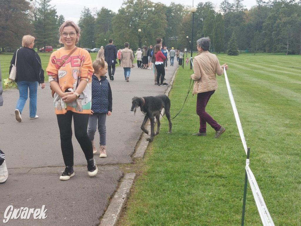 Jubileuszowy hubertus w Świerklańcu