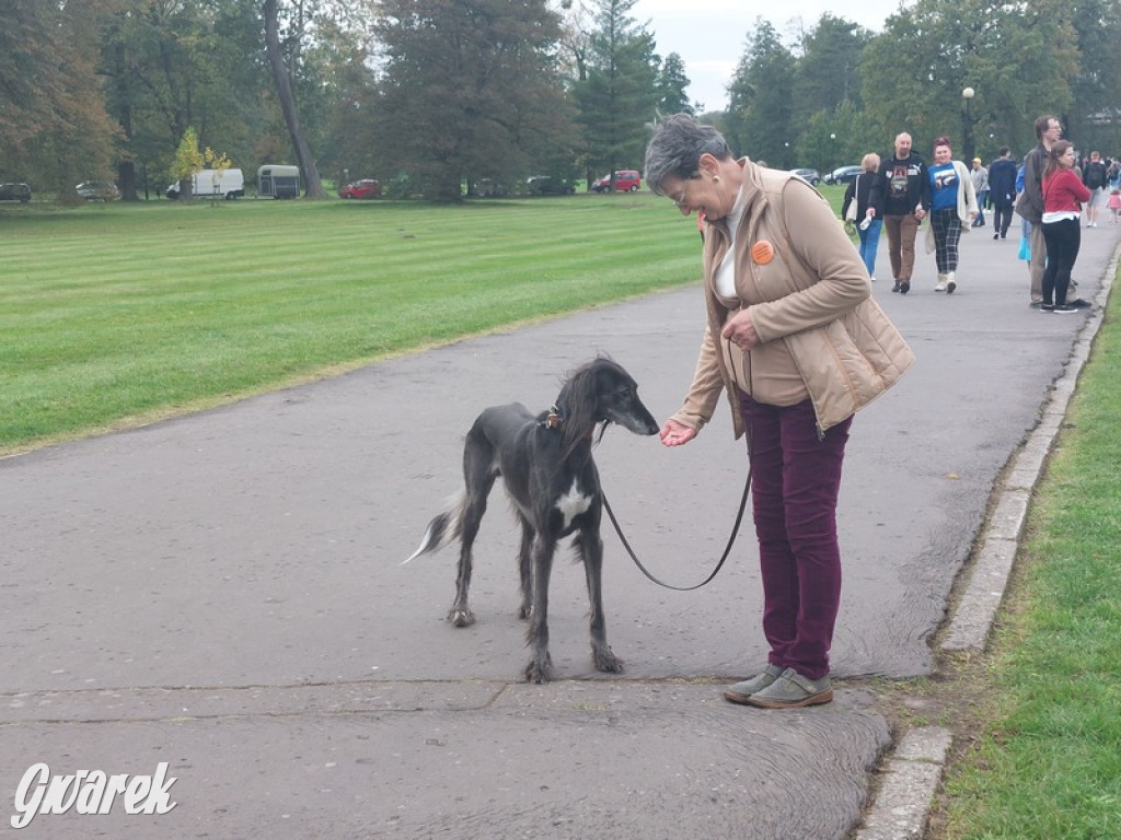 Jubileuszowy hubertus w Świerklańcu