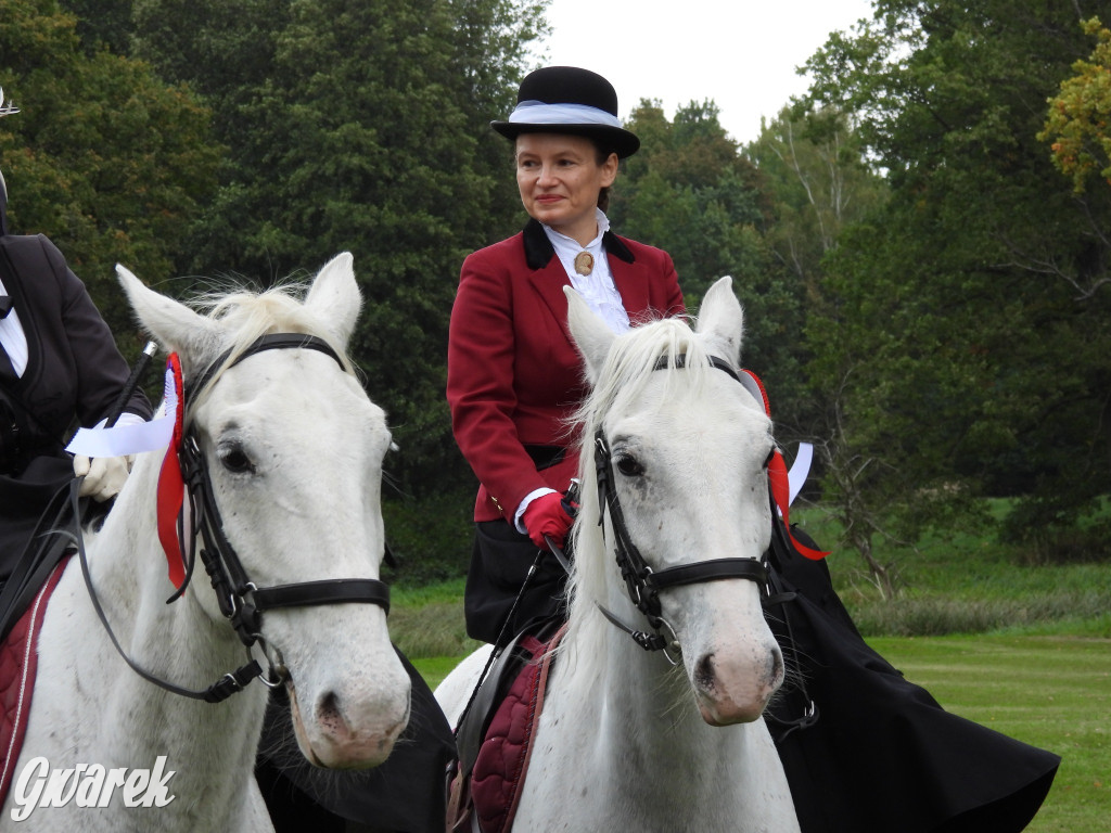 Jubileuszowy hubertus w Świerklańcu