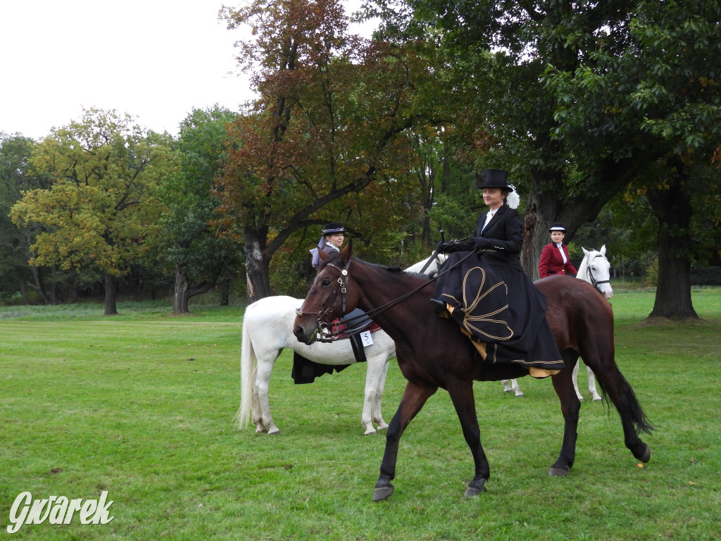 Jubileuszowy hubertus w Świerklańcu
