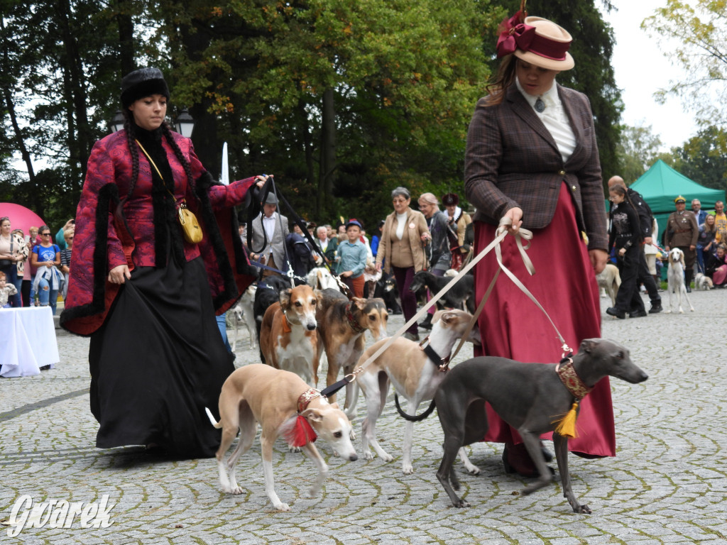 Jubileuszowy hubertus w Świerklańcu