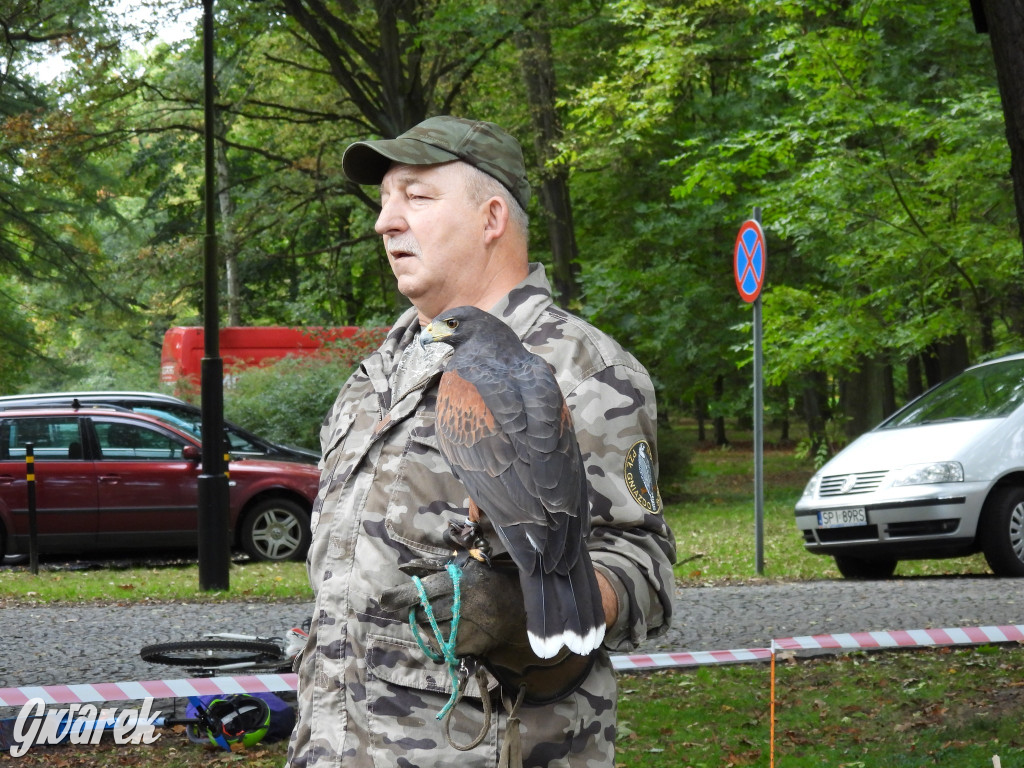 Jubileuszowy hubertus w Świerklańcu
