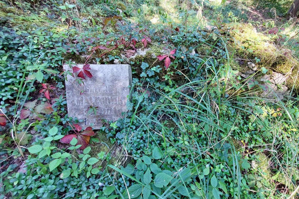 Akcja sprzątania cmentarza ewangelickiego