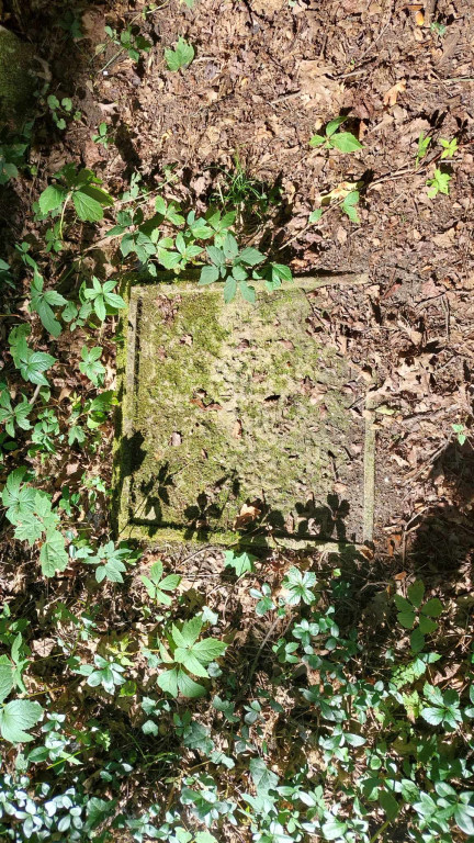 Akcja sprzątania cmentarza ewangelickiego