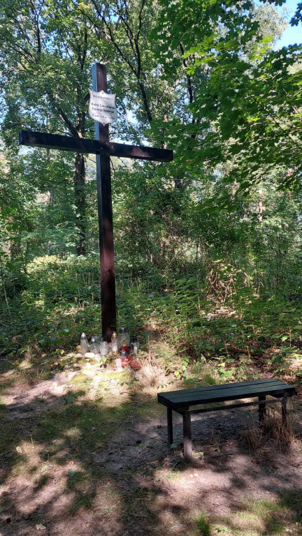 Akcja sprzątania cmentarza ewangelickiego