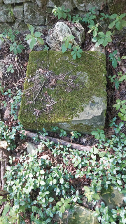 Akcja sprzątania cmentarza ewangelickiego