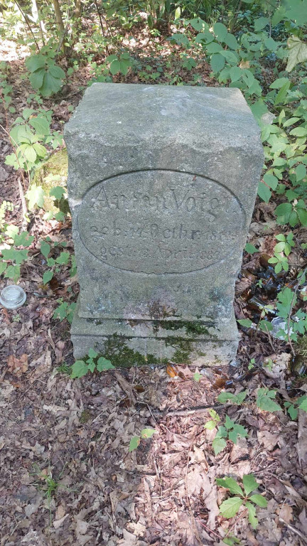 Akcja sprzątania cmentarza ewangelickiego