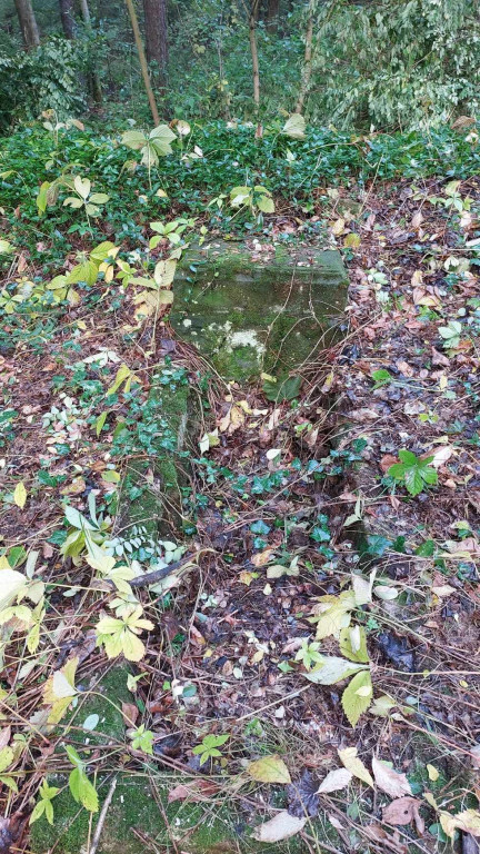 Akcja sprzątania cmentarza ewangelickiego