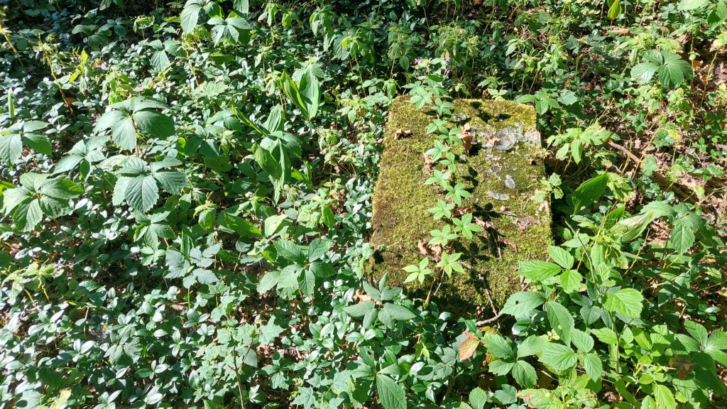 Akcja sprzątania cmentarza ewangelickiego