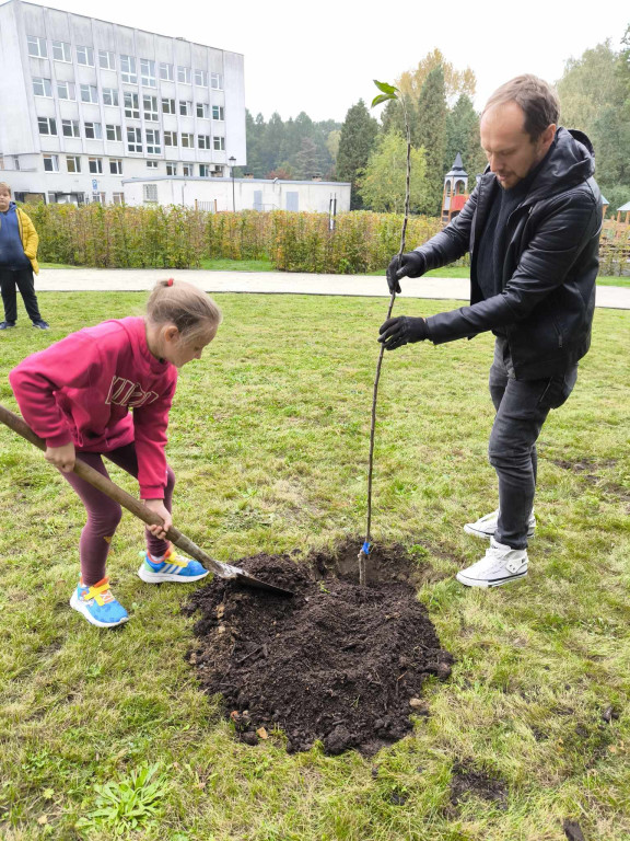 Tarnowskie Góry. Posadzili Piękne z Rept [FOTO]