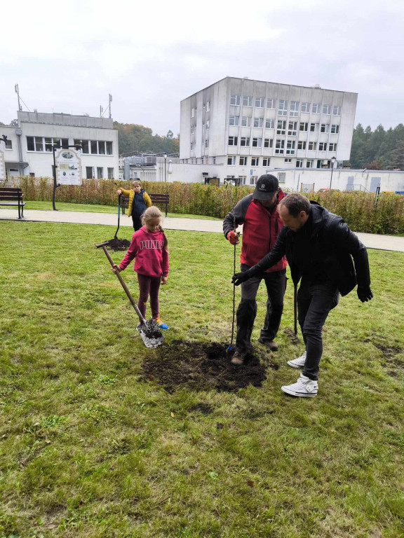 Tarnowskie Góry. Posadzili Piękne z Rept [FOTO]