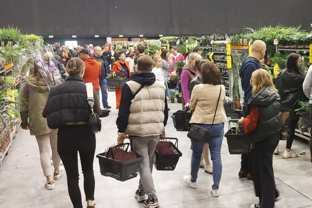 Festiwal Roślin. Wielki wybór, jakie ceny?
