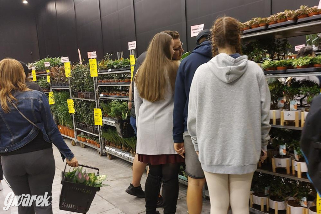 Festiwal Roślin. Wielki wybór, jakie ceny?