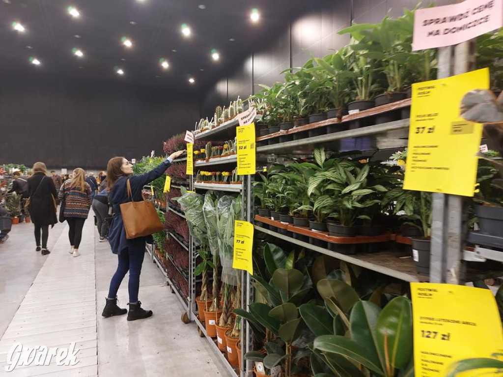 Festiwal Roślin. Wielki wybór, jakie ceny?