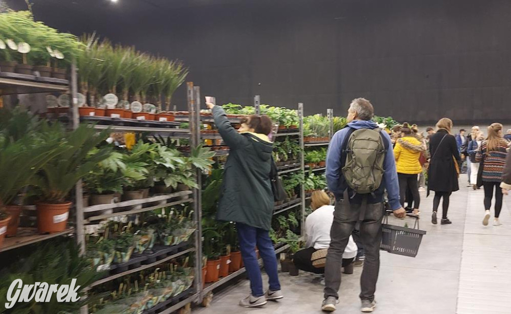 Festiwal Roślin. Wielki wybór, jakie ceny?