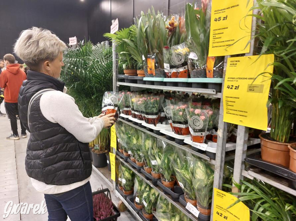 Festiwal Roślin. Wielki wybór, jakie ceny?