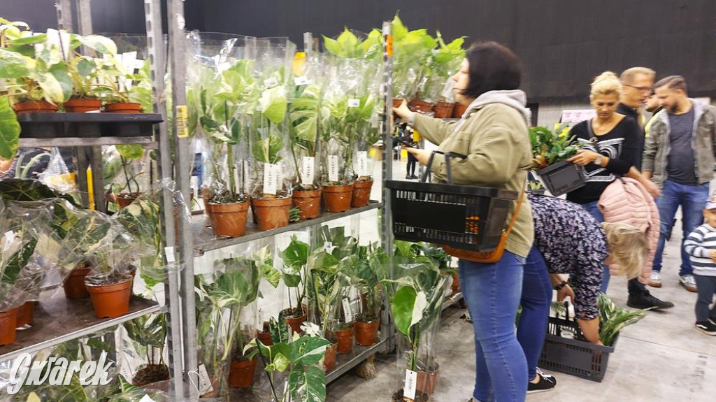 Festiwal Roślin. Wielki wybór, jakie ceny?