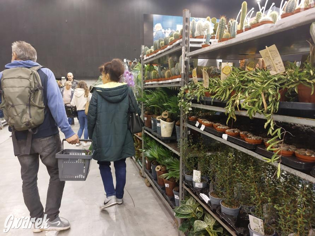 Festiwal Roślin. Wielki wybór, jakie ceny?