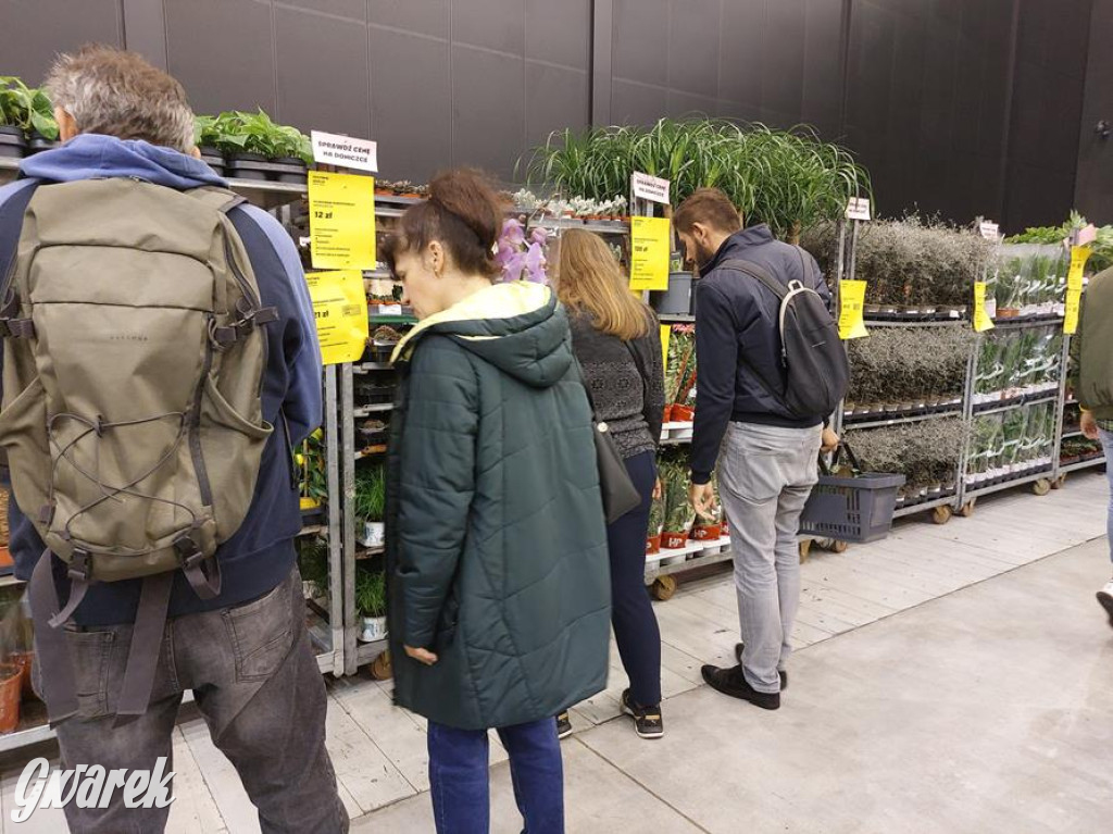 Festiwal Roślin. Wielki wybór, jakie ceny?